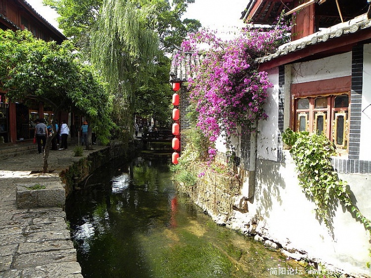 DSCN1855_调整大小.jpg
