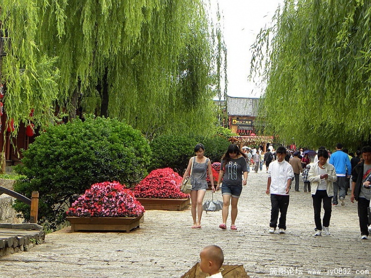 DSCN2480_调整大小.jpg