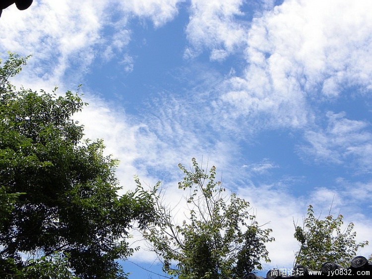 DSCN2552_调整大小.jpg