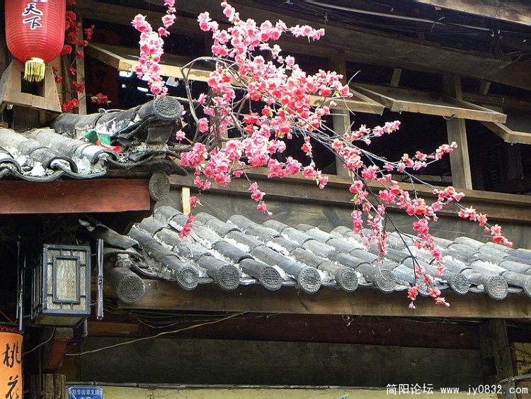 DSCN3188_调整大小.jpg