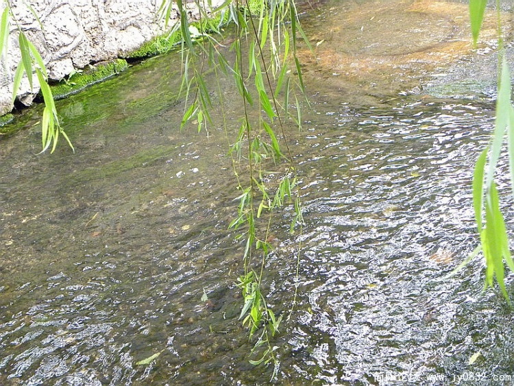 DSCN3438_调整大小.jpg