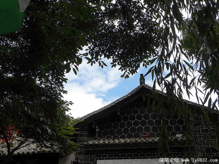 DSCN3444_调整大小.jpg