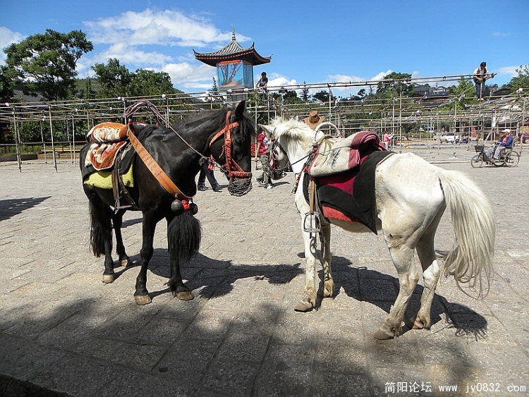 DSCN3608_调整大小.jpg