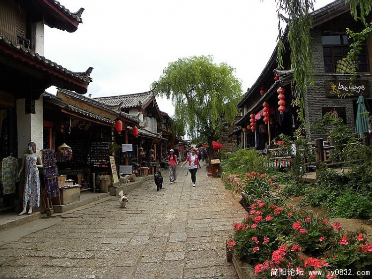 DSCN2596_调整大小.jpg