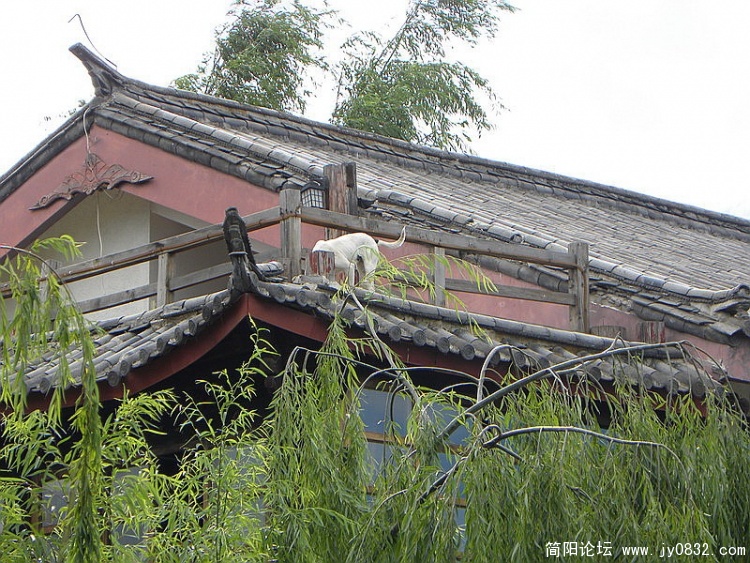DSCN2691_调整大小.jpg