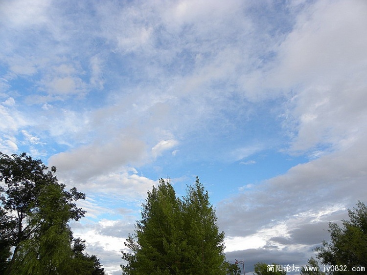 DSCN2740_调整大小.jpg
