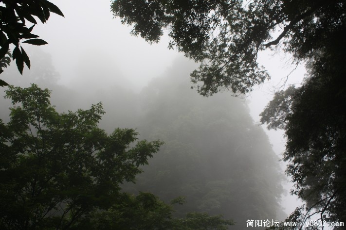 QQ截图未命名2.jpg