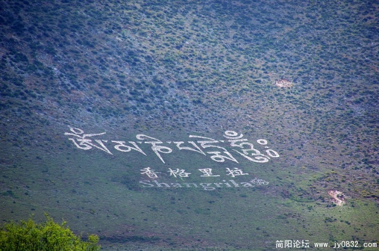 19_调整大小.jpg