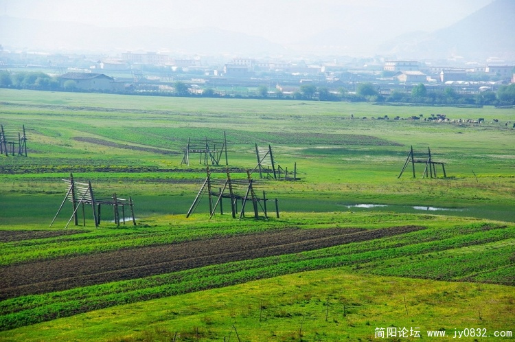 11_调整大小.jpg