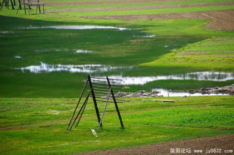 21_调整大小.jpg