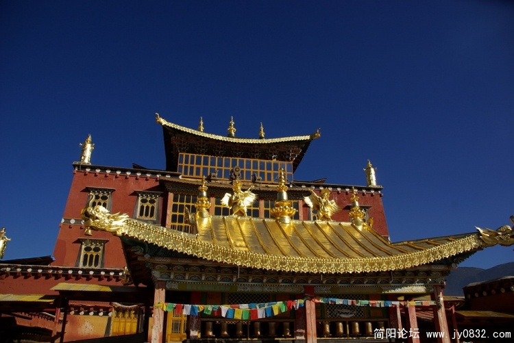 IMGP4821_调整大小.jpg