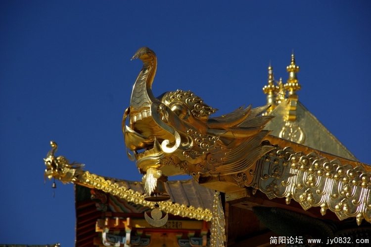 IMGP4843_调整大小.jpg