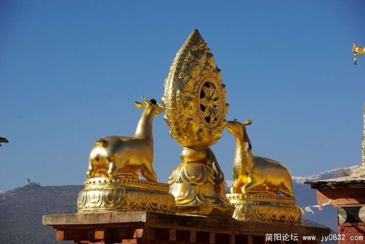 IMGP4842_调整大小.jpg