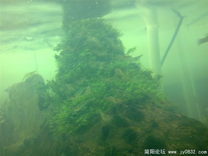 细节图.jpg