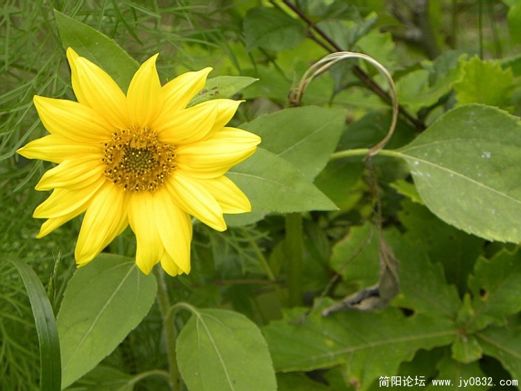 DSCN1970_调整大小.jpg
