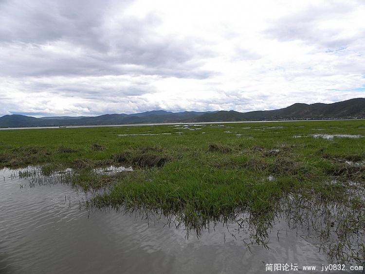 DSCN1998_调整大小.jpg