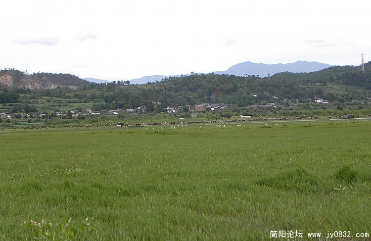 DSCN2007_调整大小.jpg