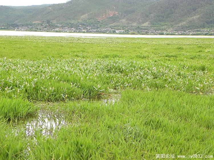 DSCN2010_调整大小.jpg