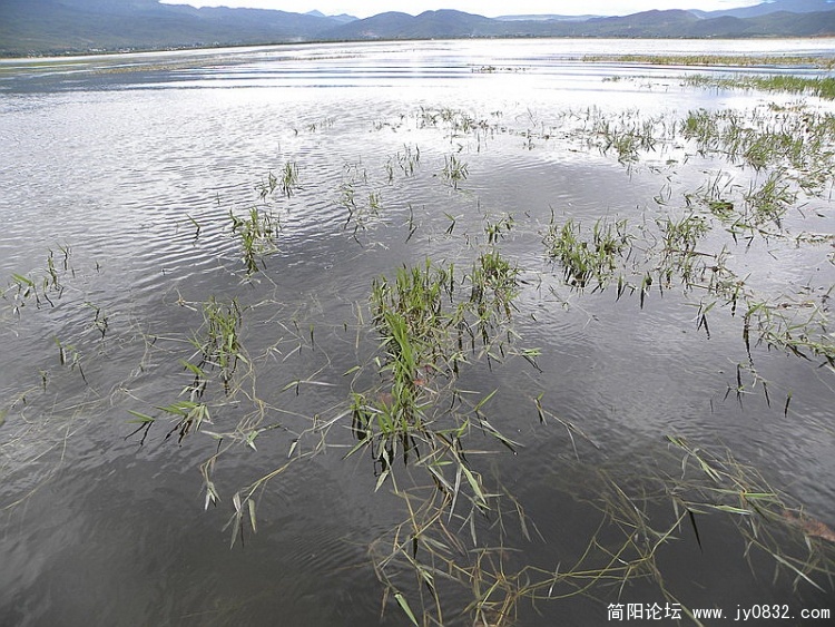 DSCN2028_调整大小.jpg