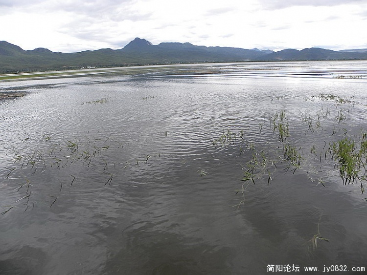 DSCN2029_调整大小.jpg
