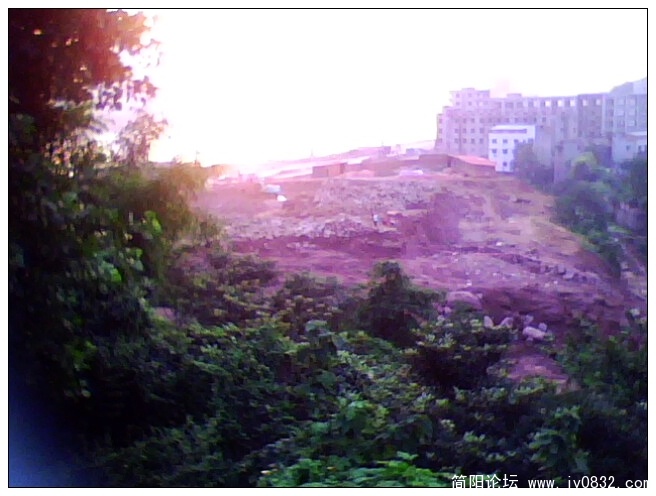 IMG1293A.jpg