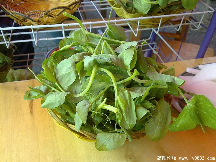 20100702139_调整大小.jpg
