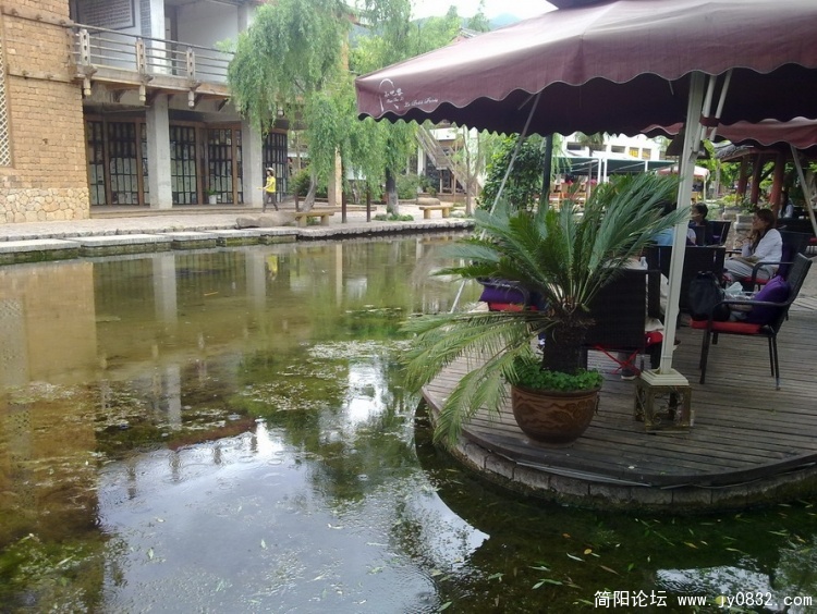20100630066_调整大小.jpg