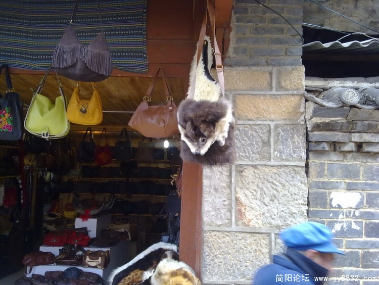 20100630070_调整大小.jpg