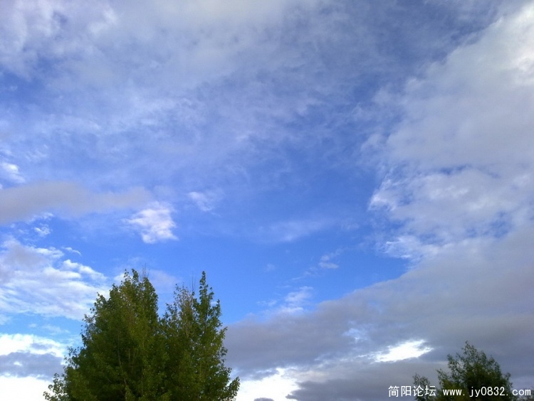 20100630089_调整大小.jpg