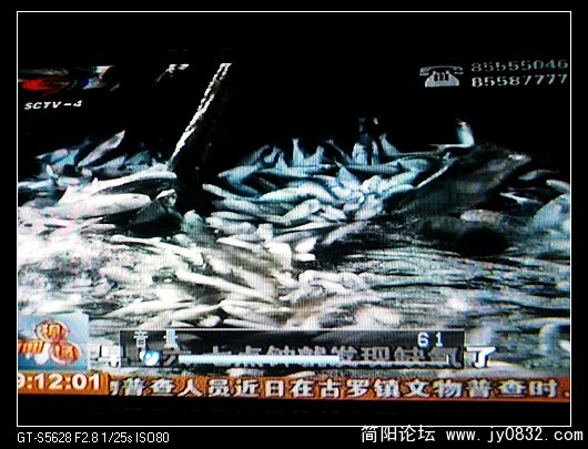 照片0179.jpg