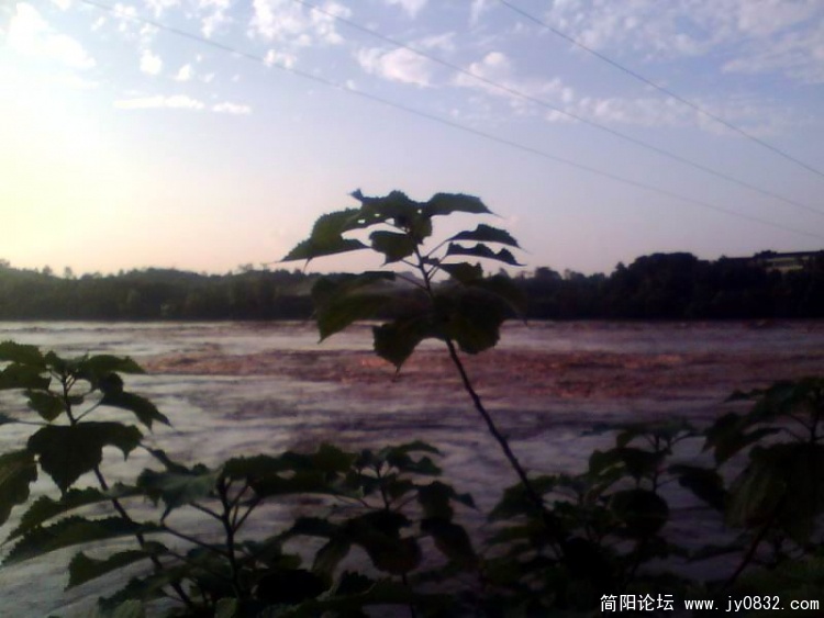 IMG0084A.jpg