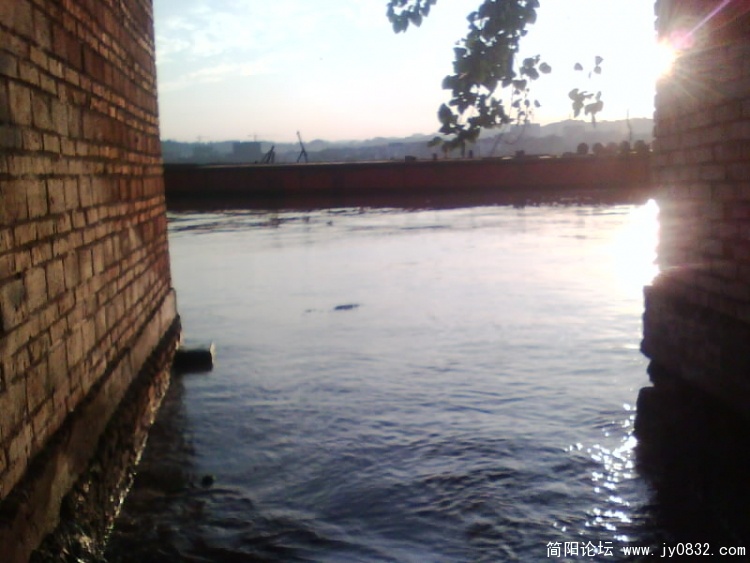 IMG0091A.jpg