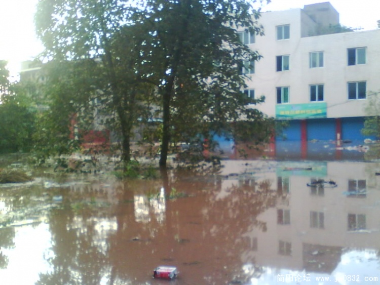 IMG0101A.jpg