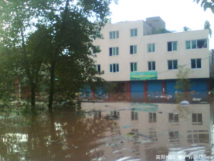 IMG0102A.jpg