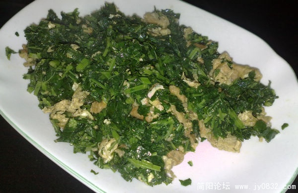 201007195097.jpg