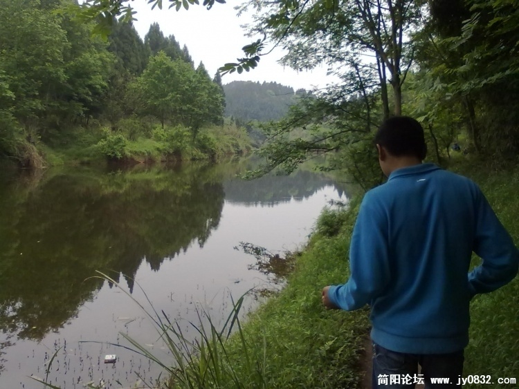 1004242100f495f3acc54c2893.jpg