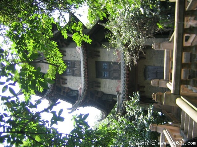 IMG_0485.JPG