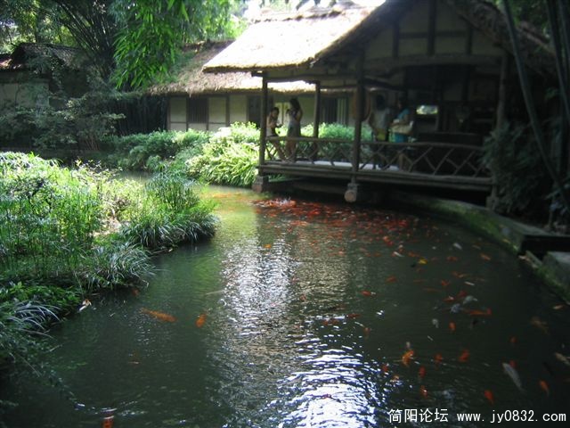 IMG_0463.JPG