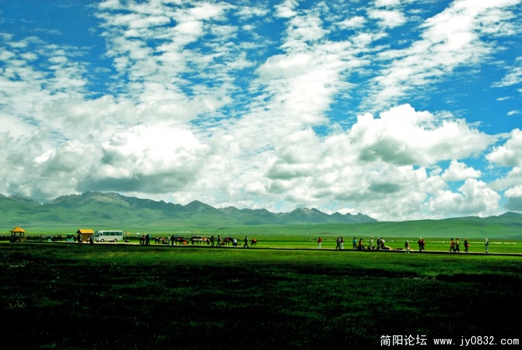DSC_0018拷贝.jpg