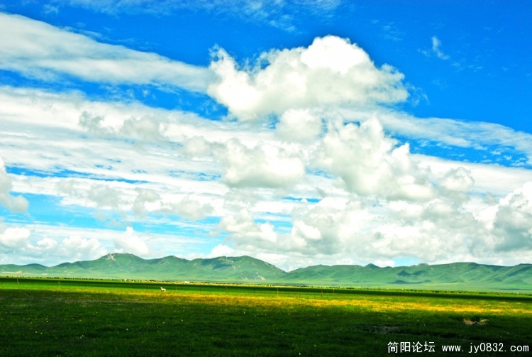 DSC_0021 拷贝.jpg