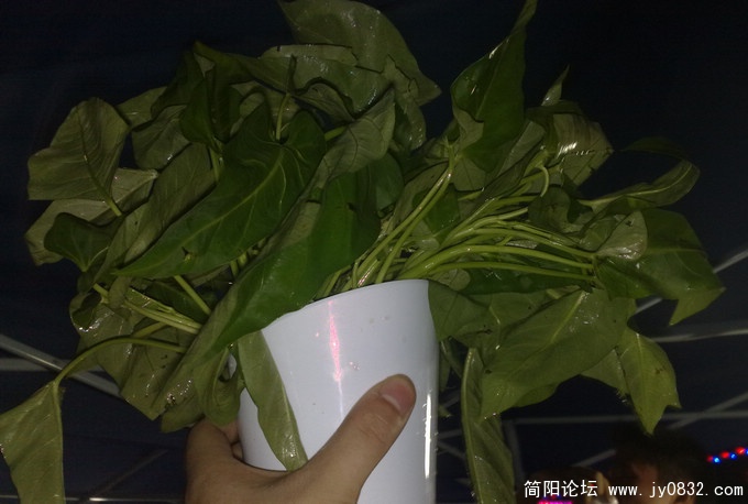 201007255193.jpg