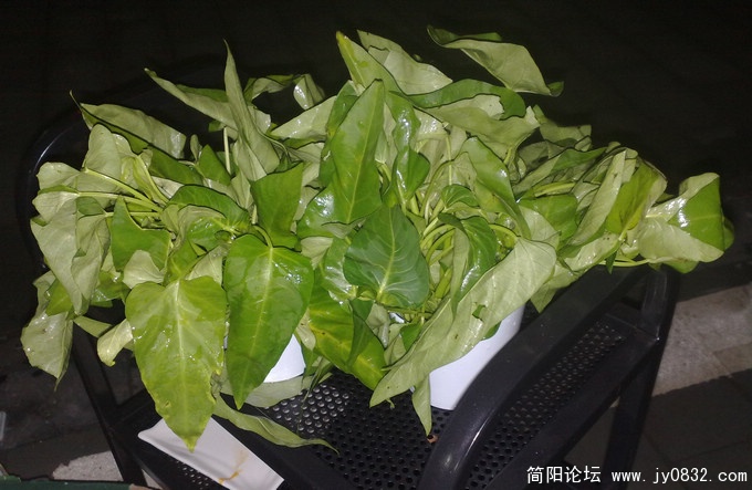 201007255192.jpg