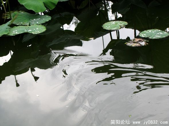 nEO_IMG_IMG_2845.jpg