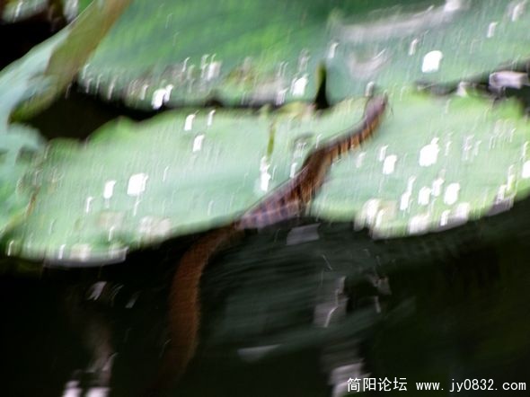 nEO_IMG_IMG_2846.jpg