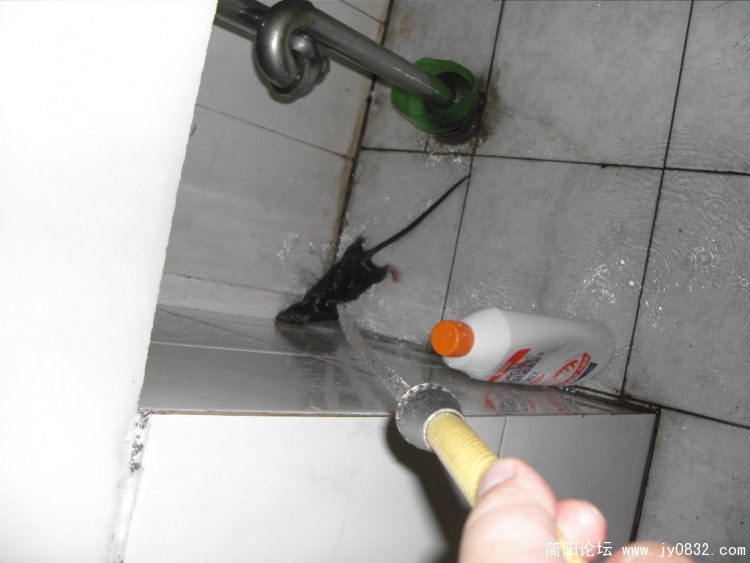 SDC12479.JPG