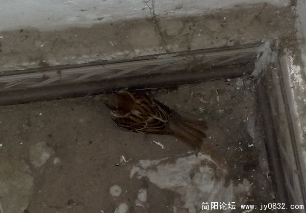 201007104984.jpg