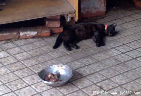201007305247.jpg