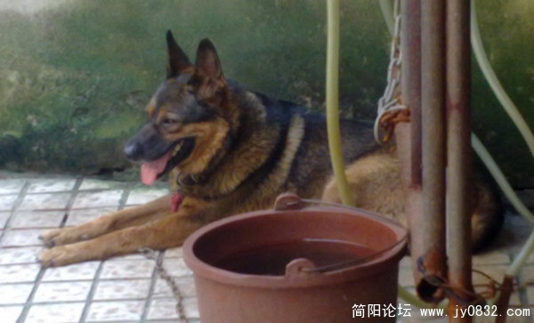 201007305248.jpg