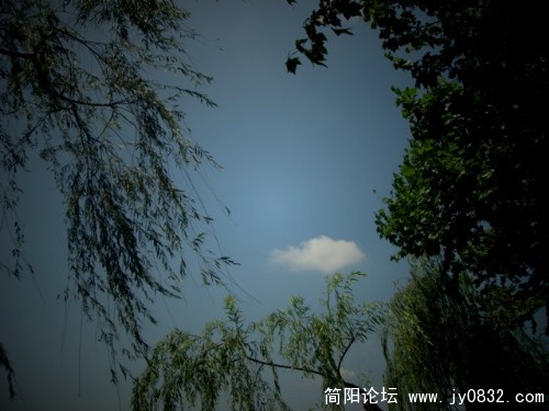 飘.jpg
