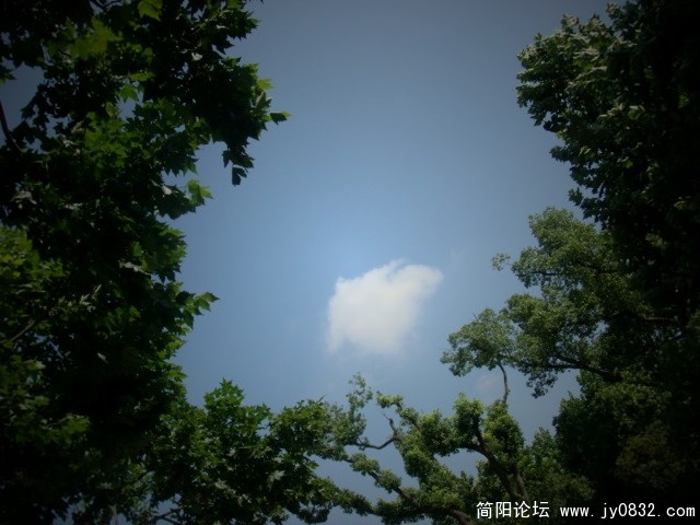 心、白云.jpg